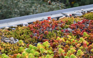 the cost of Shelsley Beauchamp green roof installation