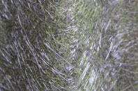 Shelsley Beauchamp fibreglass roof work